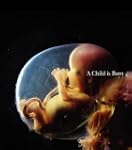 A Child is Born
