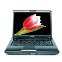 Toshiba Satellite A305D-S6835 15.4" Laptop (AMD Turion 64 X 2 Dual Core TL-64 Gold Processor, 3 GB RAM, 320 GB Hard Drive, DVD Drive, Vista Premium)