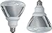 GE 73157 26-Watt 1300-Lumen Outdoor PAR38 CFL Bulb, Soft White, 2-Pack