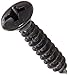 Small Parts 0812ABPOB Steel Sheet Metal Screw, Black Oxide Finish, 82 degrees Oval Head, Phillips Drive, Type AB, #8-18 Thread Size, 3/4