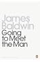 Going to Meet the Man (Penguin Twentieth Century Classics)