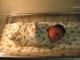Tiddliwinks Safari Flannel Receiving Blankets 4-pk.