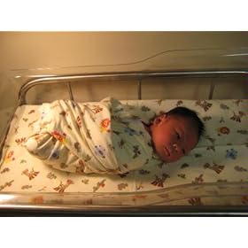 Tiddliwinks Safari Flannel Receiving Blankets 4-pk.