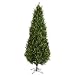10′ Pre-Lit Cedar Fir Artificial Christmas Tree – Clear Lights