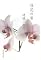 造花の蜜