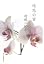 造花の蜜