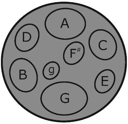 Jumbie Jam Steel Drum Musical Instrument with FREE jumbie jam island tunes book, Silver