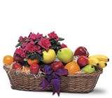 Teleflora's Plant and Fruit Basket