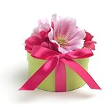 Bloembox Specialty Garden: Cut Flower Garden