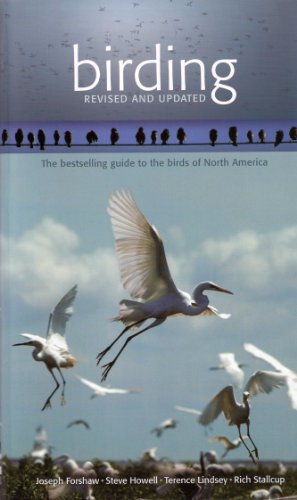 Birding