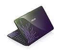 Asus EeePC 1001PQ 25,7 cm (10,1 Zoll) Netbook (Intel Atom N450, 1,6GHz, 1GB RAM, 160GB HDD, Intel GMA3150, Win7 Starter) purpur