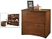 Kathy Ireland Home by Martin Furniture Mission Pasadena 2 Drawer Lateral Wood File Cabinet in Mission-Inspired Finish