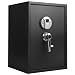 Barska Large Biometric Safe