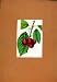 Flower Plant Cherry Fruit Hand Colored Curtis C1831