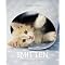Top Recommended Books on Cats and Kittens