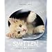 Smitten: A Kitten's Guide to Happiness