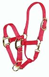Hamilton 3/4-Inch Adjustable Quality Weanling Halter with Snap, Raspberry