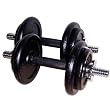 Lion Roar Fitness 40-lbs Adjustable Cast Iron Dumbbells! The #1 on market