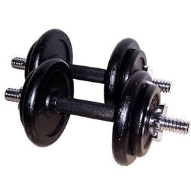 Lion Roar Fitness 40-lbs Adjustable Cast Iron Dumbbells! The #1 on market by
