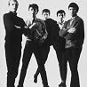 Image of Hollies