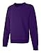 Hanes girls Ecosmart Graphic Sweatshirt Pullover Sweater, Purple Thora, Large US