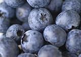 Blaubeere - 60"W x 42"H - Peel and Stick Wall Decal by Wallmonkeys