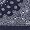 NAVY W/ PAISLEY PRINT