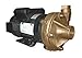 Dayton Bronze 3 HP Centrifugal Pump 230V, 2ZXA7