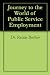 Journey to the World of Public Service Employment