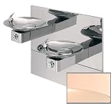 Haws Model 1011HPSMS Hi-Lo Drinking Fountain