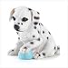 DALMATION PUPPY