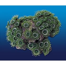 Nature's Image Artificial Corals: Lime Green Zoanthids by Nature's Image
