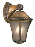 Amarante ENERGY STAR 17 1/2 High Outdoor Wall Light