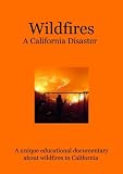 Wildfires: A California Disaster