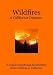 Search : Wildfires: A California Disaster