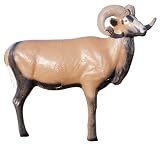 McKenzie  Exotic Series Corsican Sheep Target Midsection Only
