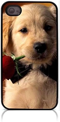 HeartCase Hard Case for Iphone 4 4G 4S (Golden Retriever Dog Pet )