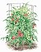 Tomato Cages, Set of 4