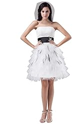 Strapless Satin/Taffeta Backless Mesh Feathers Evening Dress 