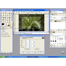 Photo Editing Pro Software 2008 Alternative for Adobe Photoshop
