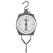 Salter Brecknell 235-6S-220/100 Electronic/ Mechanical Hanging Scale, 220 lbs Capacity, 6-49/64" Width x 9-1/8" Height x 2-1/4" Thick