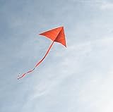 The kite, and other stories