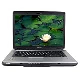 Toshiba Satellite L300D-01N Athlon 64 X2 QL-60 1.9GHz 2GB 160GB DVDRW 15.4 Vista Home Premium