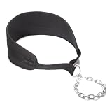 Altus Athletic Nylon Dip Belt