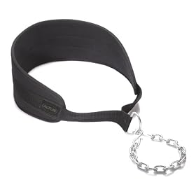 Altus Athletic Nylon Dip Belt by 