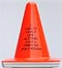 Blaze Cone: Used to Have a Life, But ThenI Got A Computer and a Modem