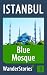 Blue Mosque in Istanbul - a travel guide and tour as with the best local guide (Istanbul Travel Stories)