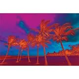 Isack Kousnsky (Abstract Palm Trees) Art Poster Print - 24x36 Poster Print - 36x24