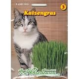 Eigenschaften Chrestensen  / Katzengras Saatmischung