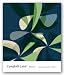 Kitchen & Housewares : Baal #15 by Campbell Laird 16"x16" Art Print Poster